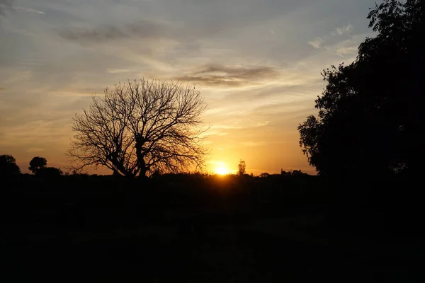 Hermosa Puesta Sol Cerca Del Río Sabaki Junto Malindi Kenia —  Fotos de Stock