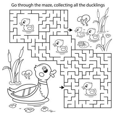 Labirent ya da Labirent Oyunu. Bulmaca. Çizgi film ördeğinin boyama sayfasında küçük ördekler var. Çocuklar için boyama kitabı.
