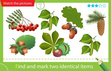 Find and mark two identical items. Puzzle for kids. Matching game, education game for children. Color images of forest fruits and leaves of trees. Oak, birch, chestnut, rowan, pine, fir. Worksheet for preschoolers