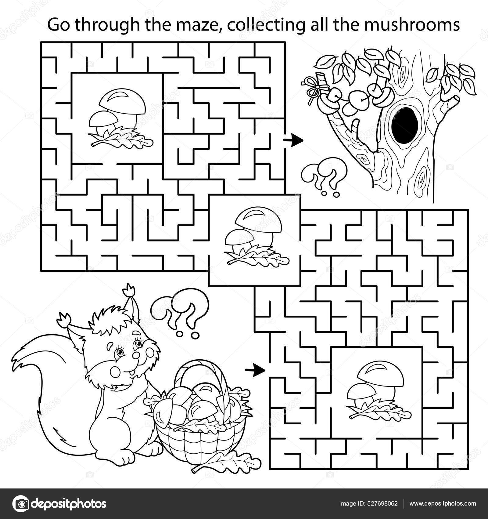 Maze Labyrinth Game Puzzle Coloring Page Outline Cartoon Squirrel