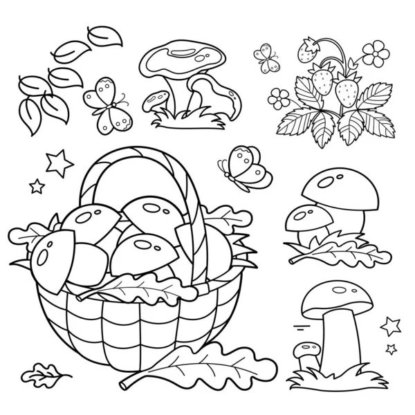 Coloring Page Outline Basket Mushrooms Summer Gifts Nature Coloring Book — Stock Vector