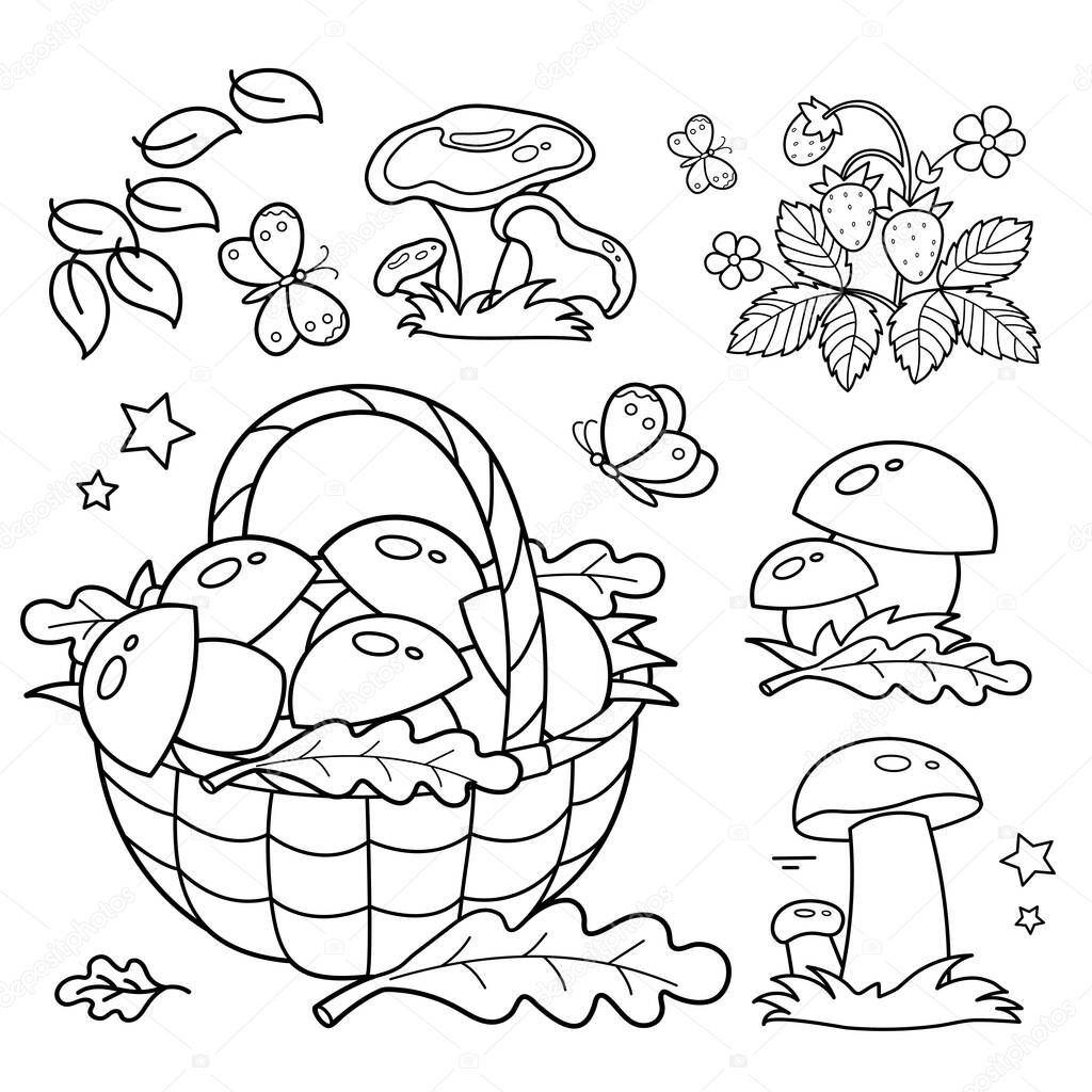 Coloring Page Outline Of  basket of mushrooms. Summer gifts of nature. Coloring book for kids