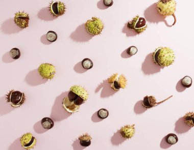 Soluk pembe arka planda sonbahar atı kestaneleri. Asgari konsept.