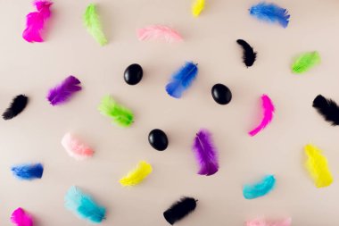 Doğu düz arka planda siyah yumurtalar ve soluk pembe yüzeyde renkli tüyler vardı. Asgari konsept.