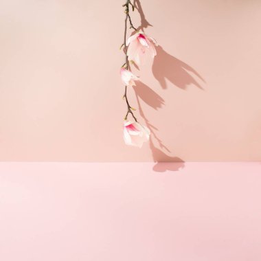 Manolya çiçeklerinin dalları keskin gölgeli pembe duvarlara karşı baş aşağı dizilmiş..