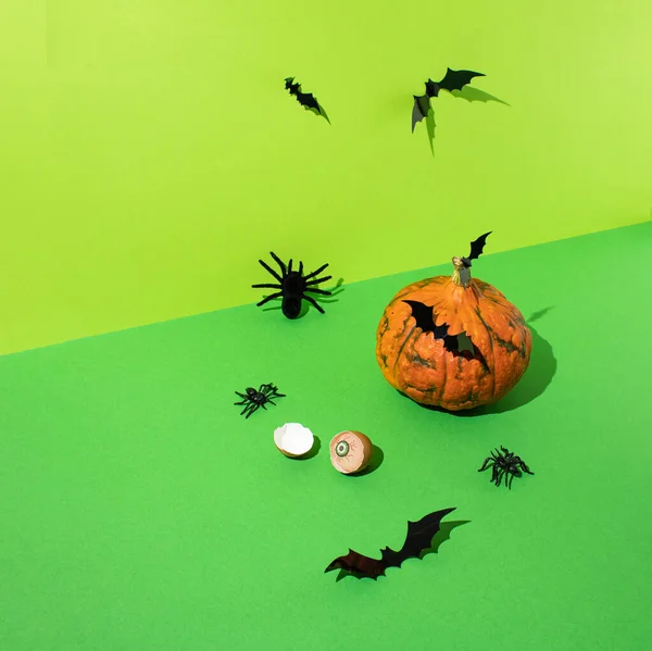 Fresh orange pumpkin with black bats, spiders and eyeball in eggshell   on green background. Halloween concept with high angle view.