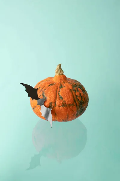Halloween pumpkin with black bat reflecting on sky blue background.