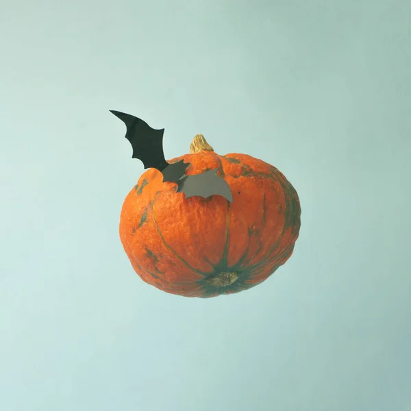 Halloween pumpkin with black bat flying in the sky. Blue background.