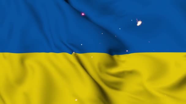 Feux Artifice Victorieux Sur Drapeau Ukrainien — Video