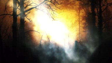 Halloween spooky smoke background