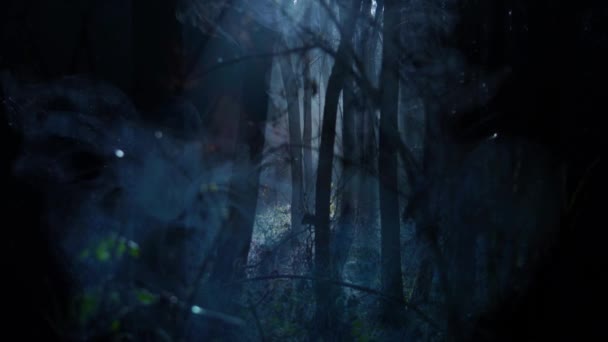 Halloween Spooky Smoke Background — Αρχείο Βίντεο