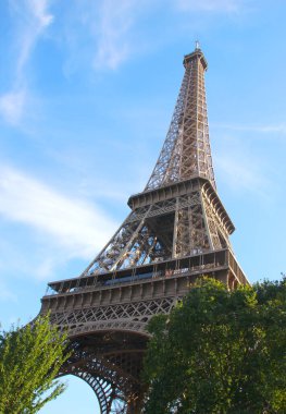 Aşağıdan görünen Eyfel kulesi Ağaçlar ve mavi gökyüzü