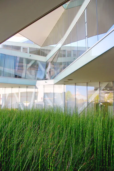 Landscaped courtyard inside a reflecting building with a complex shape. offices and natural space