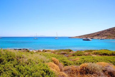 Güneşli bir günde cennet kumsalı, ön planda yeşil bitki örtüsü, arka planda açık mavi deniz, açık gökyüzü, dağlar ve yatlar. Plaj tatili, rahatla