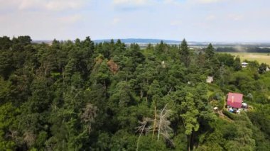 Küçük evler arasında yaz ormanı