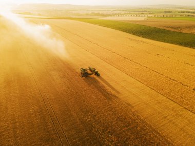 Bir tarlada çalışan hasatçıları birleştirir