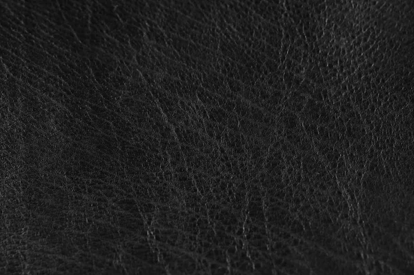 The black skin is flat and perfect for backgrounds.