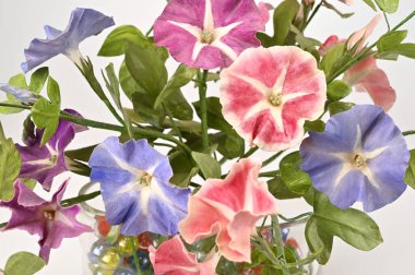 Sabah zaferleri için vazodaki misketler gerçeği andırıyor.