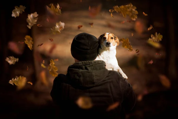 Otoño Retrato Hombre Con Perro Que Mejor Amigo Jack Russell —  Fotos de Stock