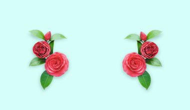 Açık mavi-yeşil arka planda şenlikli çiçek kompozisyonu. Düz yerde, üst tarafta. Kırmızı kamelya çiçekleri. 