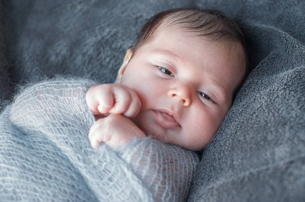 Yeni Doğmuş Bebek Sıcak Bir Battaniyeye Sarılmış Uyanmış Etrafına Bakınan — Stok fotoğraf