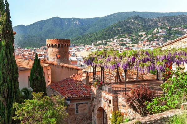 スペインだ 地中海沿岸のトッサ マルの絵のような街の風景 コスタ ブラバ 藤の花 スペインの春の風景 空中風景 — ストック写真