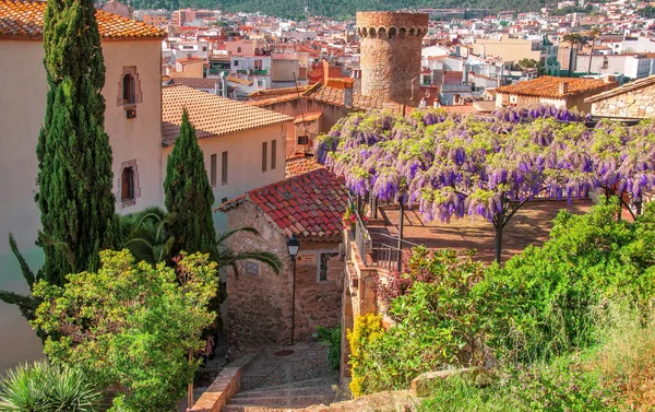 スペインだ 地中海沿岸のトッサ マルの絵のような街の風景 コスタ ブラバ 藤の花 スペインの春の風景 空中風景 — ストック写真