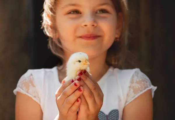 Счастливая Маленькая Девочка Держит Курицу Руках Ребенок Птицей Близкий Взгляд — стоковое фото