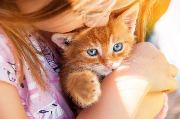 赤い子猫を手にした少女が近づいてくる 親友だ ペットとの子供の相互作用 — ストック写真