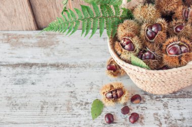Kestaneler eski ahşap masadaki sepetin içinde fotokopi alanı ile. Noel için çiğ kestane. Taze tatlı kestane. Gıda arkaplanı.
