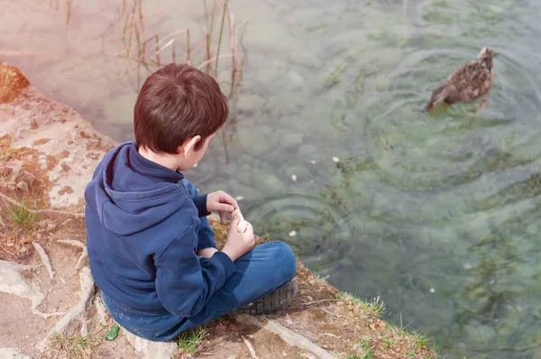 池でガチョウに餌をやる子供たち 動物の世話 — ストック写真