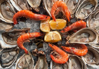 Üst manzara istiridye arka planında karides ve limon dilimleri ile Açık İstiridye.