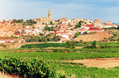  La Rioja. İspanya. Üzüm bağları ve antik şehrin güzel manzaraları.. 