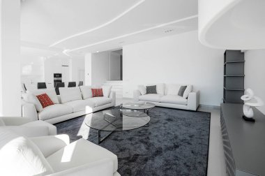 Lüks ve modern oturma odası, yemek odası ve mutfak. Lüks mobilyalar, kanepe, masa ve sandalyeler..