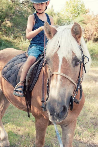 馬に乗って少年 — ストック写真