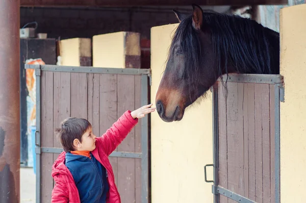 少年は馬 動物に触れる — ストック写真