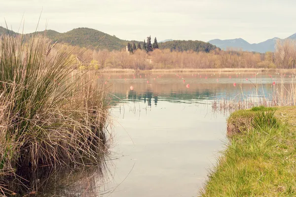 Mjukt Vårlandskap Nära Sjön Banyoles Spanien Katalonien Stockbild