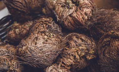 Anastatica ya da Jericho 'lu Gül bitkisinin kurumaya karşı büyük bir direnci var. Meryem 'in çiçeği. Tumbleweed bitkisi. 