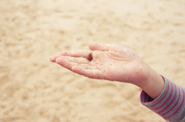 Elinde Antarktika plankton krilleri. 