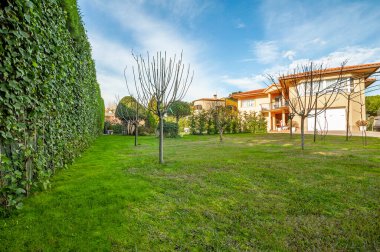 Büyük bir bahçe ve yeşil çitli, yataklı bir sebze bahçesi.. 