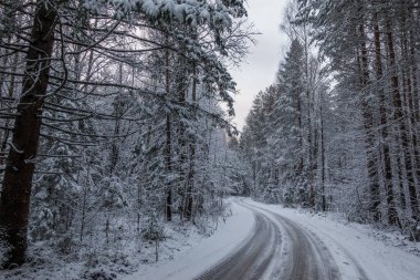 Kış karlı orman manzarası ile, yol
