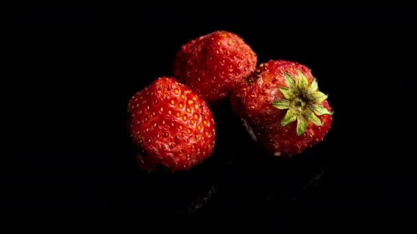 Strawberry rots on a black background, time lapse, macro photography — Stock Video