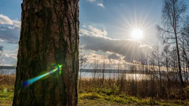 Hyperlapsus sur la rive d'un lac forestier, time lapse, beau paysage automnal — Video