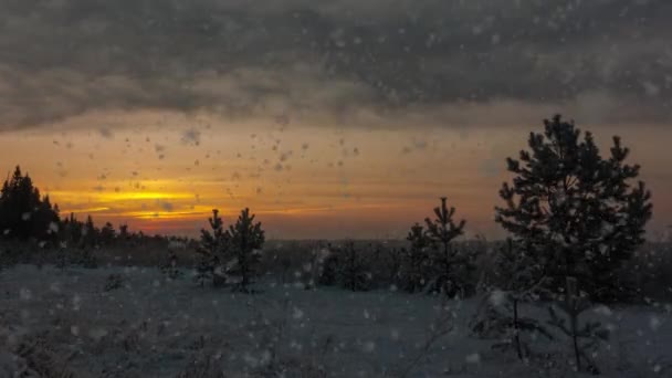 Piękny zimowy wschód słońca nad polami zimowymi - timelapse — Wideo stockowe