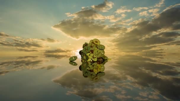 Finansierings- och investeringskoncept Växter som växer från en bunt mynt. hämmad växt mot bakgrund av en vacker time-lapse solnedgång på en hög med mynt. Japansk yen symbol — Stockvideo
