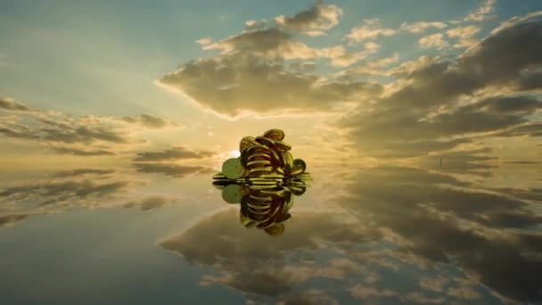 Finance and investment concept. Plants growing from a stack of coins. stunted plant growth against the backdrop of a beautiful time-lapse sunset on a pile of coins. dollar symbol — Vídeo de Stock