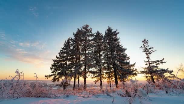 Prachtige kleurverandering in de lucht bij zonsondergang in het bevroren besneeuwde bos. winterlandschap, tijdspanne — Stockvideo