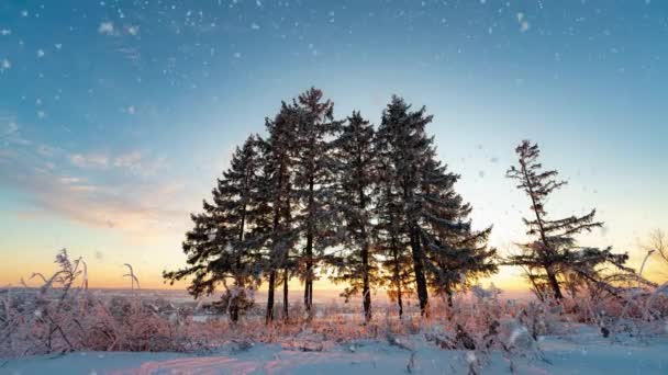 Paisagem de inverno incrível com o pôr-do-sol nebuloso romântico. Queda de neve suave na floresta nevada de inverno. Tempo de pôr-do-sol de inverno — Vídeo de Stock