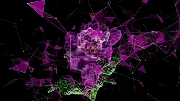 Futurystyczna scena z różowym kwiatem piwonii upływ czasu na czarnym tle. Kwitnący kwiat piwonii jest otwarty, upływ czasu, zbliżenie. Ślubne tło, koncepcja Walentynek. 4K UHD wideo w zwolnionym tempie — Wideo stockowe