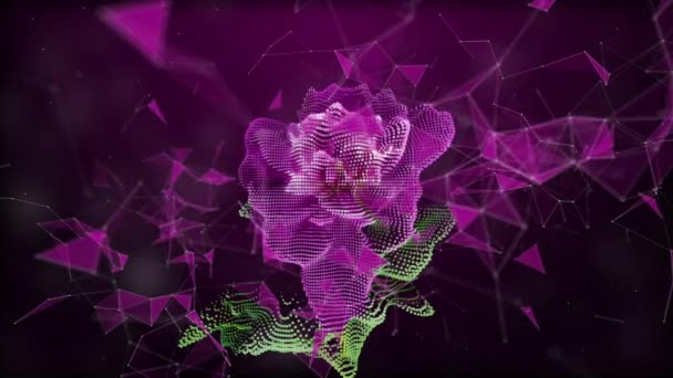 Escena futurista con flor de peonía rosa lapso de tiempo sobre fondo negro. Flor de peonía floreciente está abierto, lapso de tiempo, primer plano. Fondo de la boda, concepto de San Valentín. 4K UHD video en cámara lenta — Vídeos de Stock